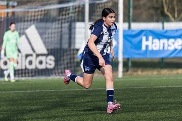 Bild 94 - wBJ Hamburger SV - Hertha BSC : Ergebnis: 2:1